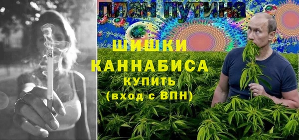 МДПВ Протвино