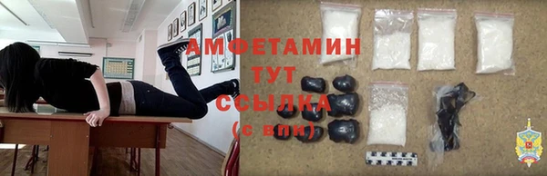 МДПВ Протвино
