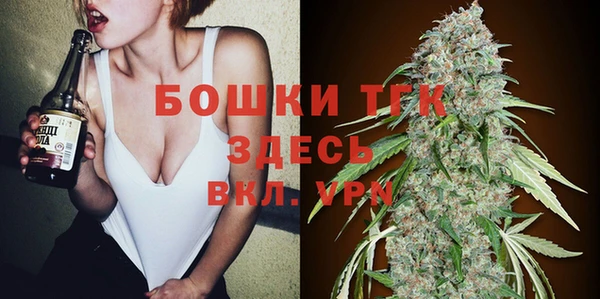 МДПВ Протвино