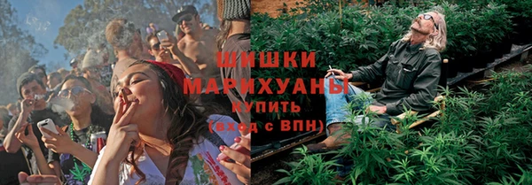 ПСИЛОЦИБИНОВЫЕ ГРИБЫ Приозерск