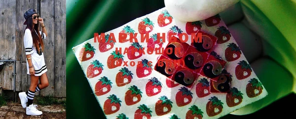 МДПВ Протвино