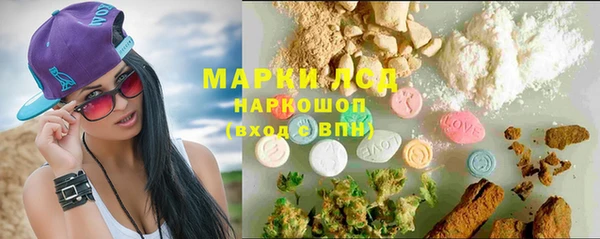ПСИЛОЦИБИНОВЫЕ ГРИБЫ Приозерск