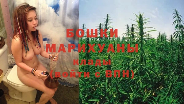 МДПВ Протвино