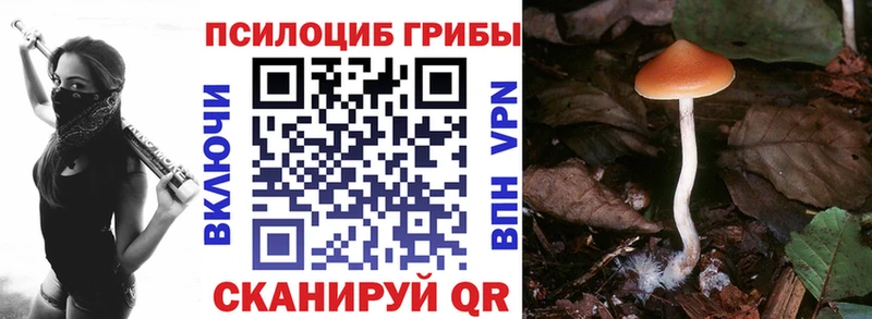 Псилоцибиновые грибы мицелий  shop клад  Тырныауз 